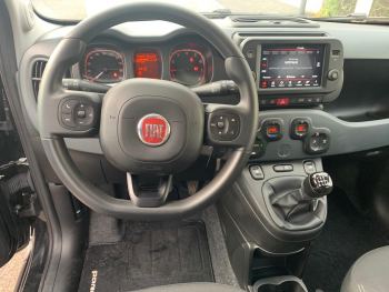 Photo 8 de l'offre FIAT Panda 1.0 70 ch Hybride BSG S/S Cross à 12990 € chez Fiat, Alfa Romeo Jeep